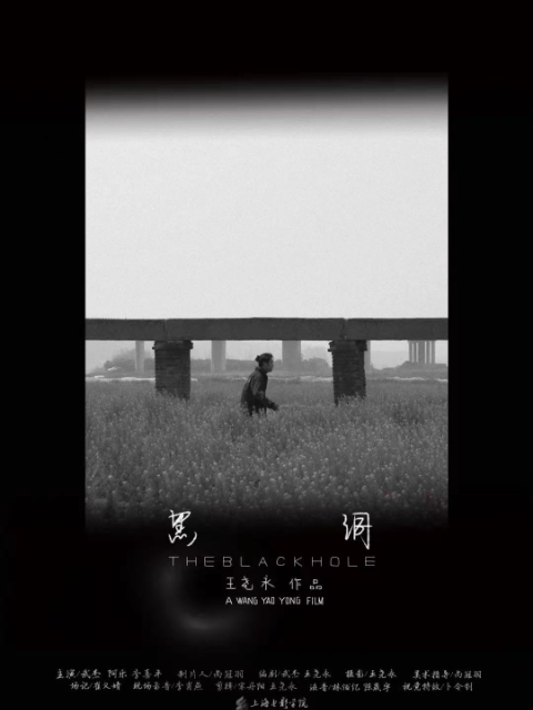 黑洞 海报 高清在线观看
