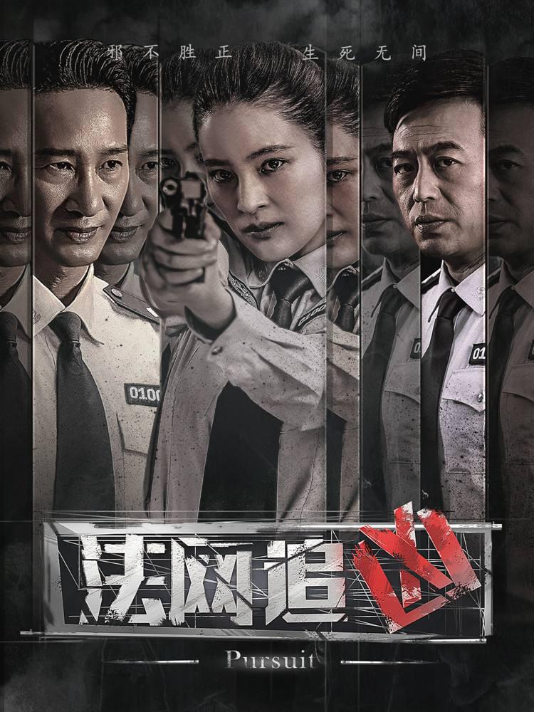 法网追凶 海报 高清在线观看