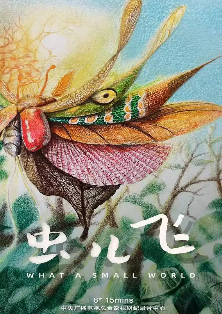 虫儿飞 海报 高清在线观看