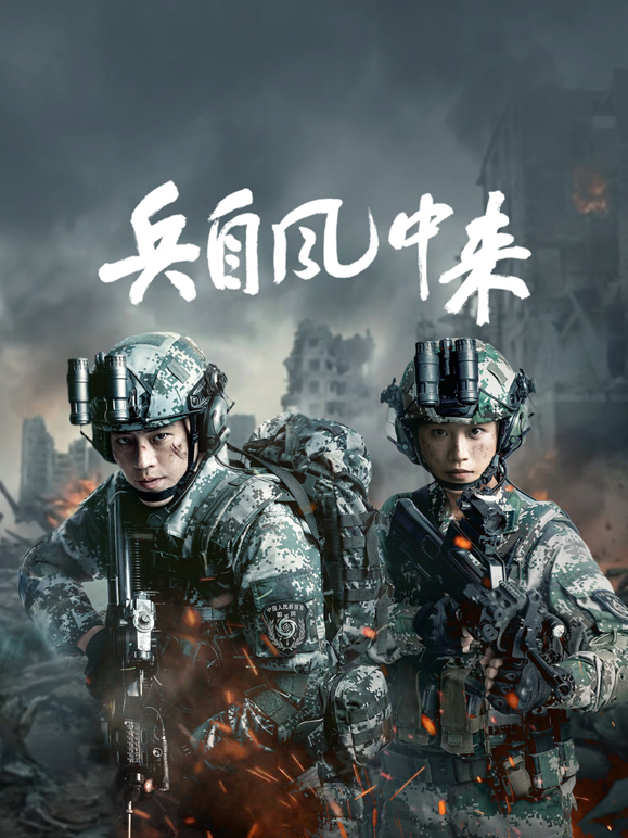 兵自风中来 海报 高清在线观看