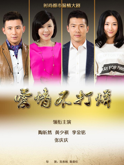 爱情不打烊 海报 高清在线观看