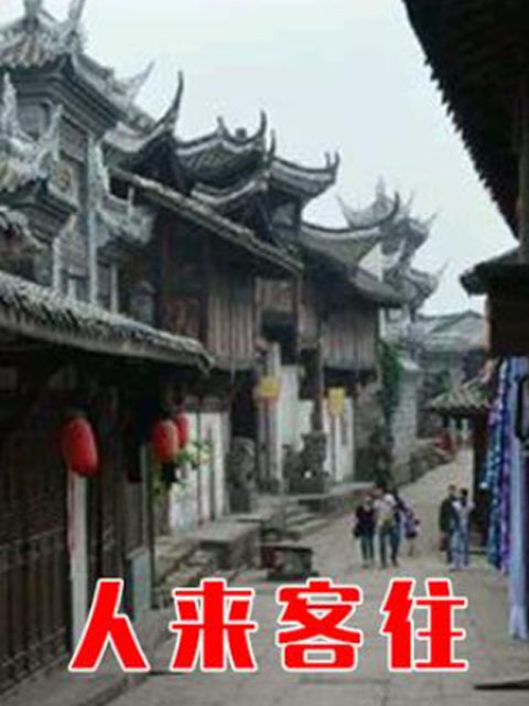 人来客往 海报 高清在线观看