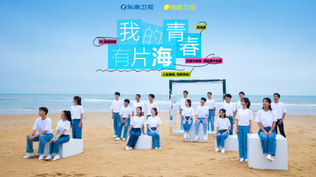我的青春有片海 海报 高清在线观看