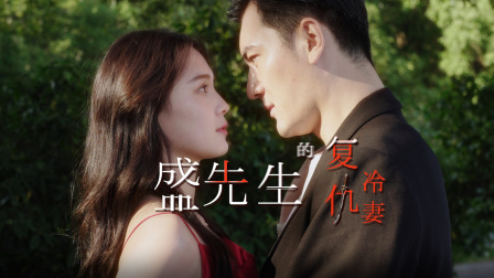 盛先生的复仇冷妻 海报 高清在线观看