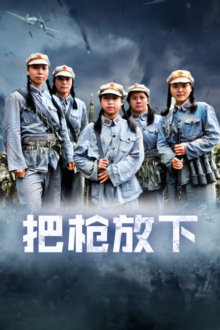 把枪放下 海报 高清在线观看