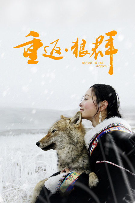 重返·狼群 海报 高清在线观看