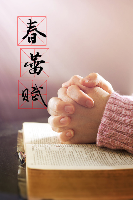 春蕾赋 海报 高清在线观看