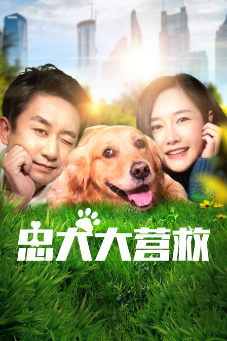 忠犬大营救 海报 高清在线观看