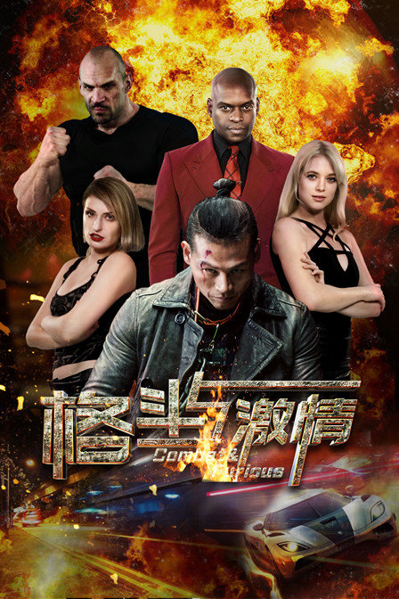 格斗与激情 海报 高清在线观看