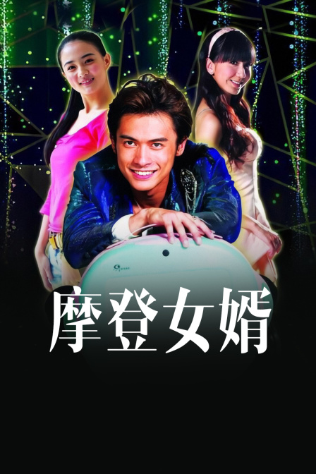 摩登女婿 海报 高清在线观看