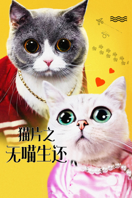 猫片之无喵生还 海报 高清在线观看