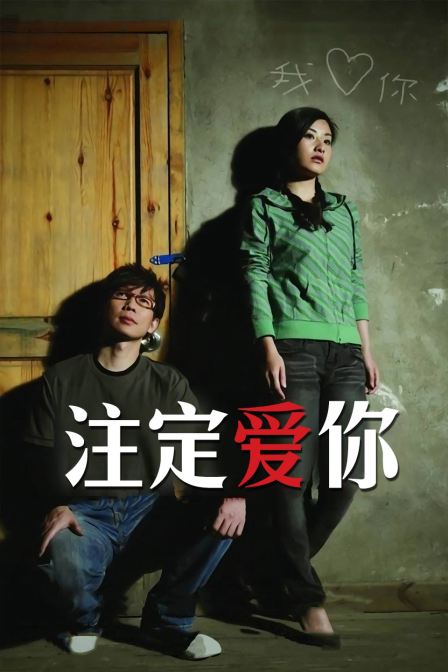 注定爱你 海报 高清在线观看