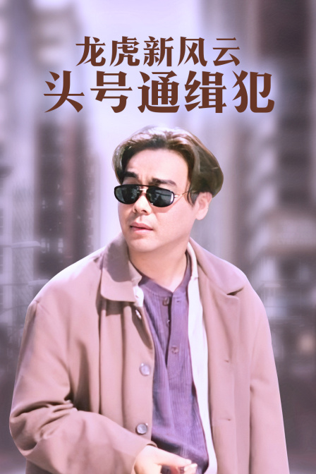 龙虎新风云 头号通缉犯 海报 高清在线观看