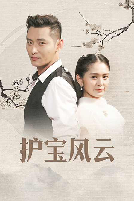 护宝风云 海报 高清在线观看
