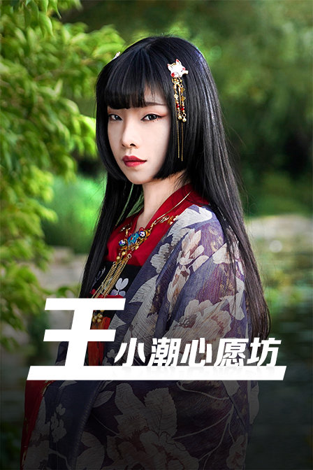 王小潮心愿坊 海报 高清在线观看