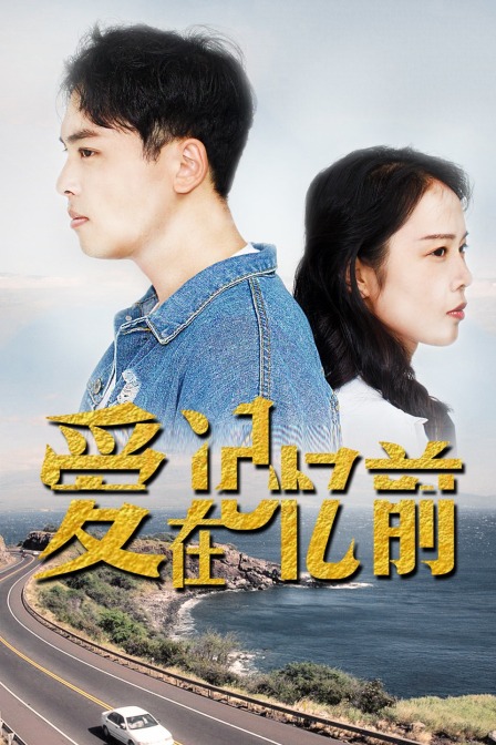 爱在记忆前 海报 高清在线观看