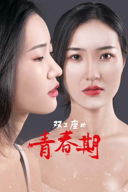 双子座的青春期 海报 高清在线观看