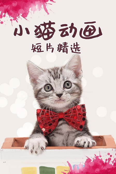 小猫动画短片精选 海报 高清在线观看