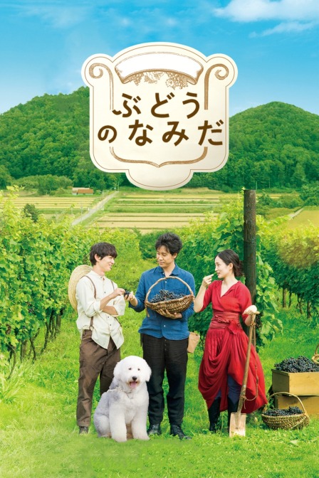 葡萄的眼泪 海报 高清在线观看