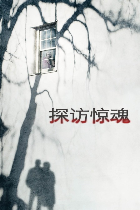 探访惊魂 海报 高清在线观看