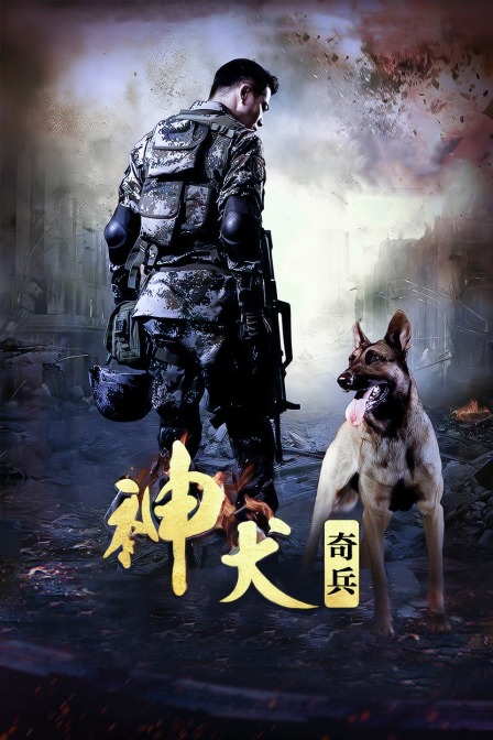神犬奇兵 海报 高清在线观看