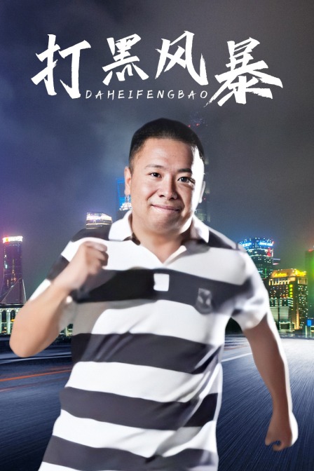打黑风暴 海报 高清在线观看