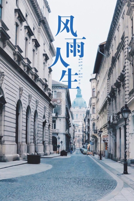 风雨人生 海报 高清在线观看