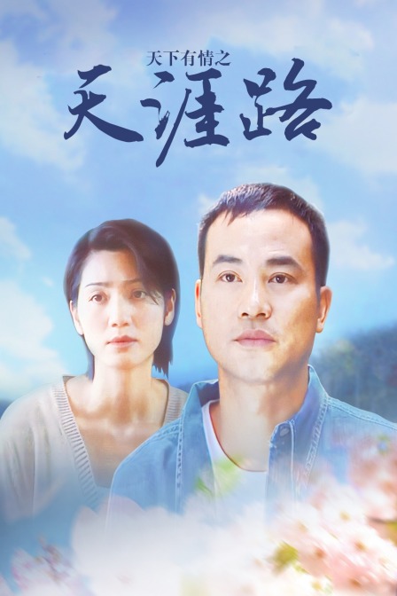 天下有情之天涯路 海报 高清在线观看