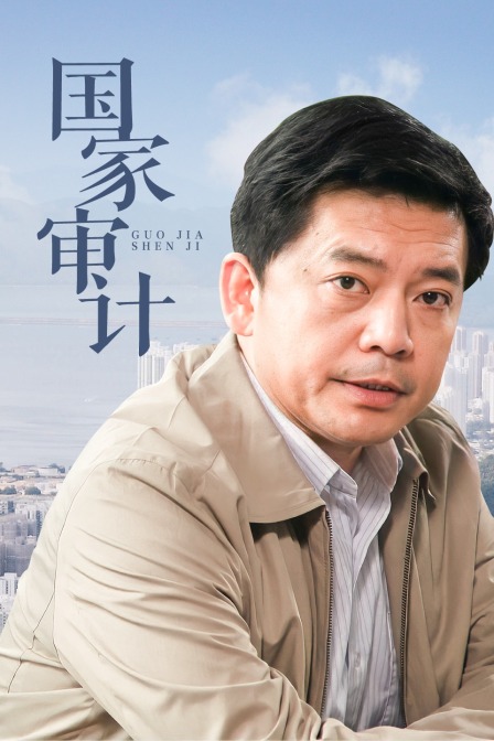 国家审计 海报 高清在线观看