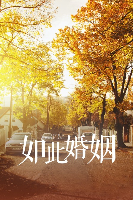 如此婚姻 海报 高清在线观看