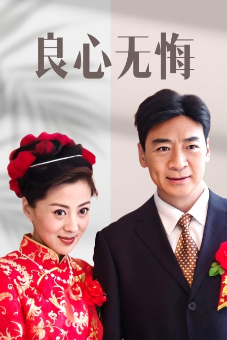 良心无悔 海报 高清在线观看