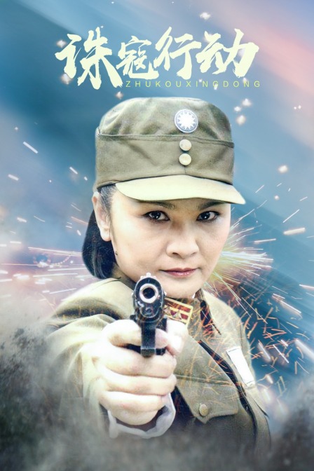 诛寇行动 海报 高清在线观看