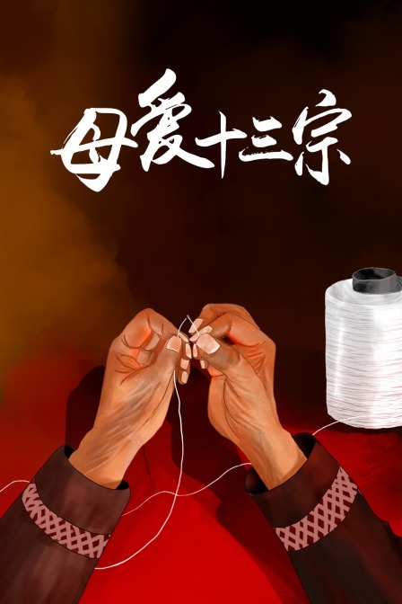母爱十三宗 海报 高清在线观看