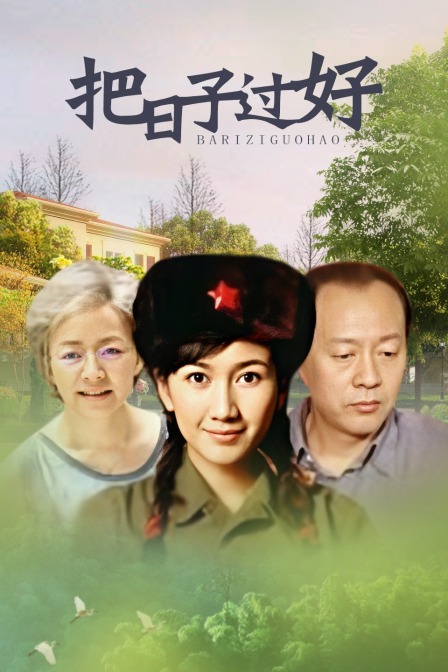 把日子过好 海报 高清在线观看