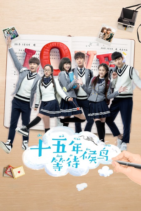 十五年等待候鸟 海报 高清在线观看