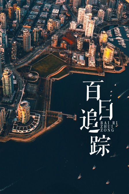 百日追踪 海报 高清在线观看
