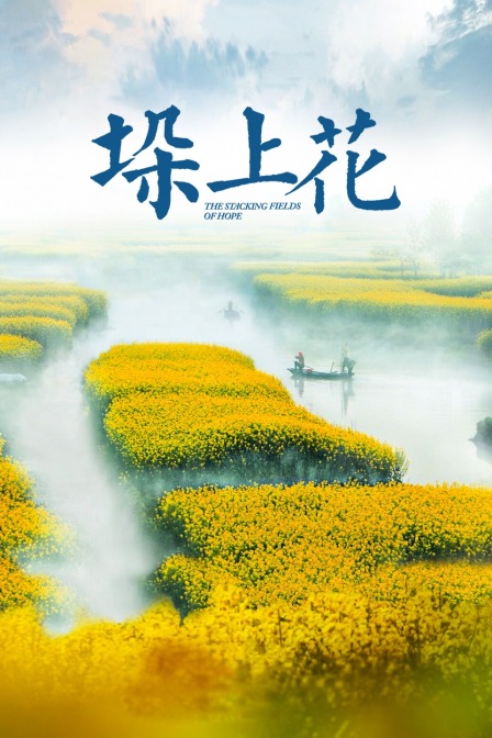 垛上花 海报 高清在线观看