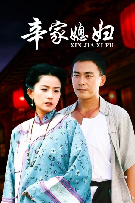 辛家媳妇 海报 高清在线观看