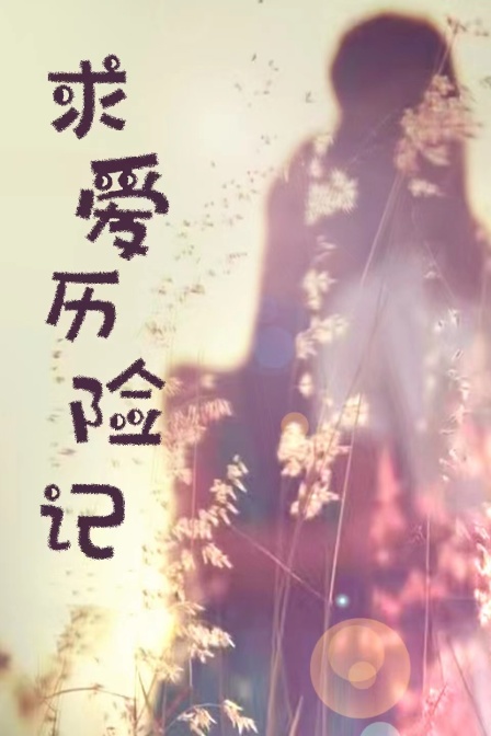 求爱历险记 海报 高清在线观看