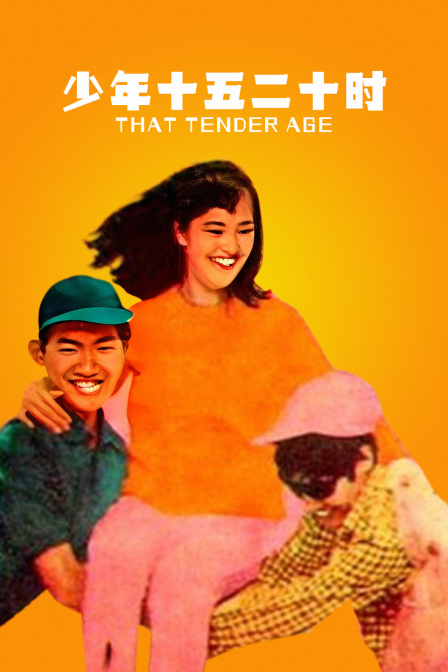 少年十五二十时 海报 高清在线观看