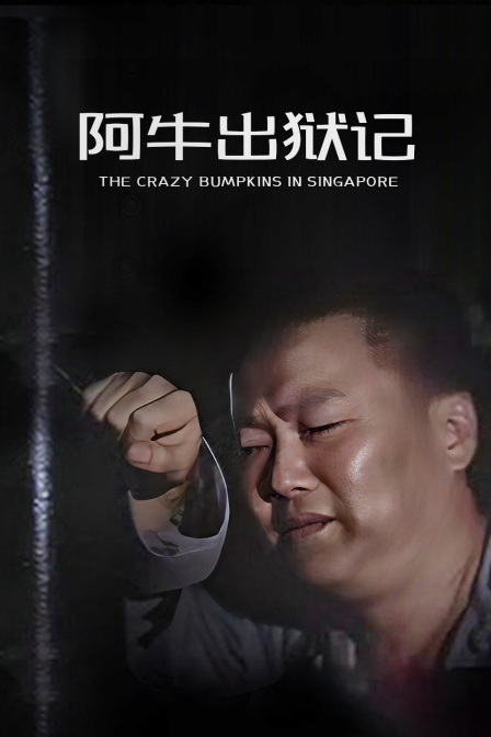 阿牛出狱记 海报 高清在线观看