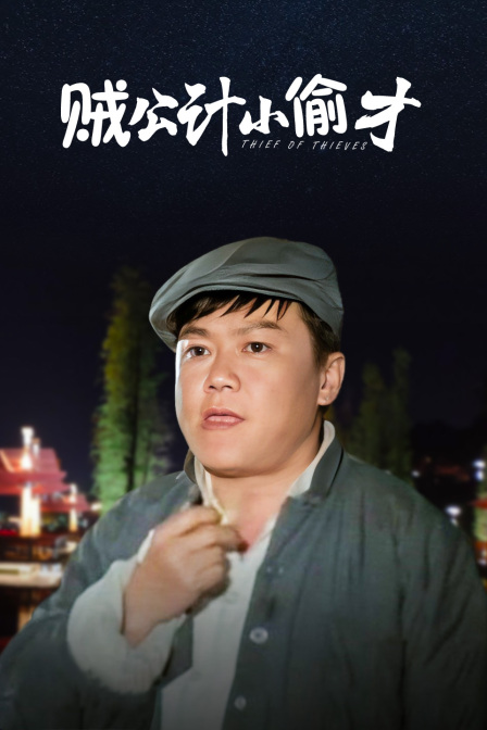 贼公计小偷才 海报 高清在线观看