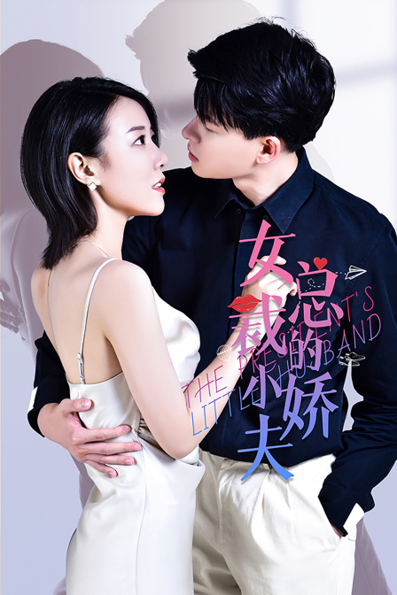 女总裁的“小娇夫” 海报 高清在线观看