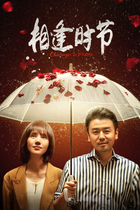 相逢时节 海报 高清在线观看