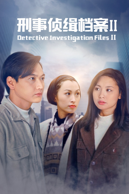刑事侦缉档案Ⅱ 海报 高清在线观看