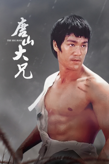 唐山大兄 海报 高清在线观看