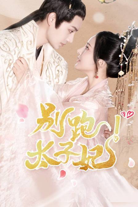 别跑太子妃 海报 高清在线观看