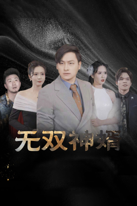 无双神婿 海报 高清在线观看
