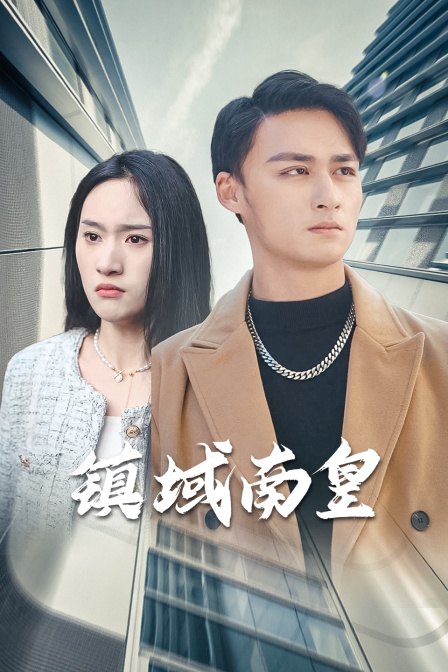 镇域南皇 海报 高清在线观看