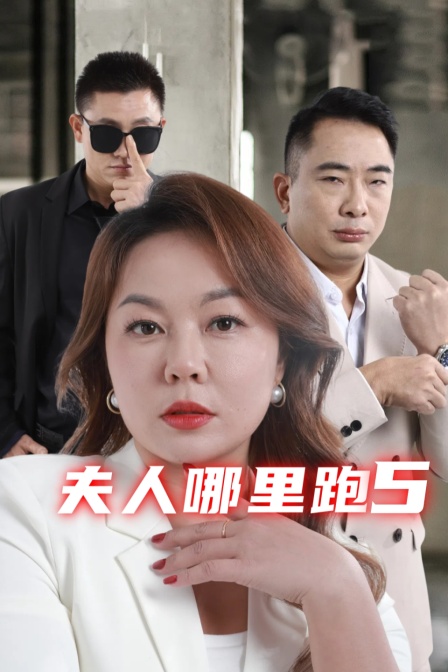 夫人哪里跑5 海报 高清在线观看